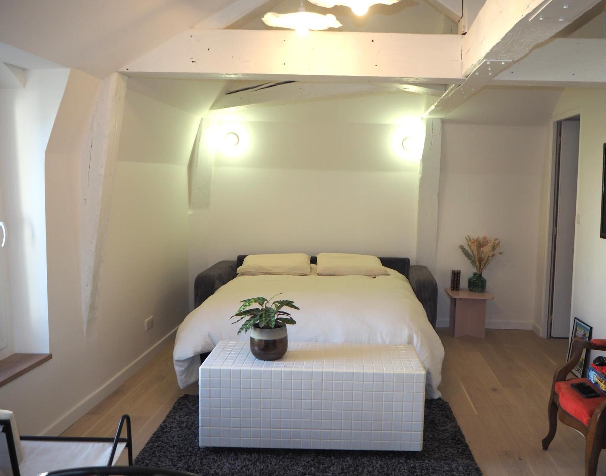 Les Baleines - Hypercentre 2 Chambres Avec Garage Et Clim - Air Conditioning Grenoble Bagian luar foto